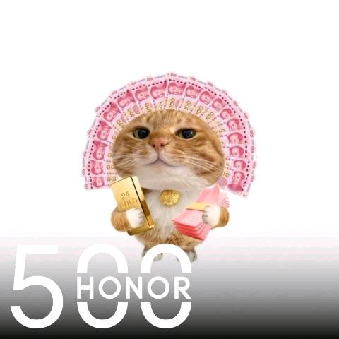 Honor玲玲（火热预售500）