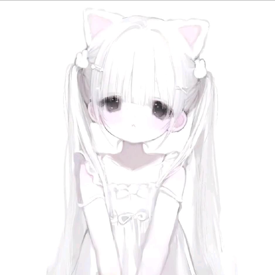 猫猫兔