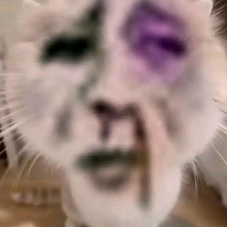 🧊哥鞋业
