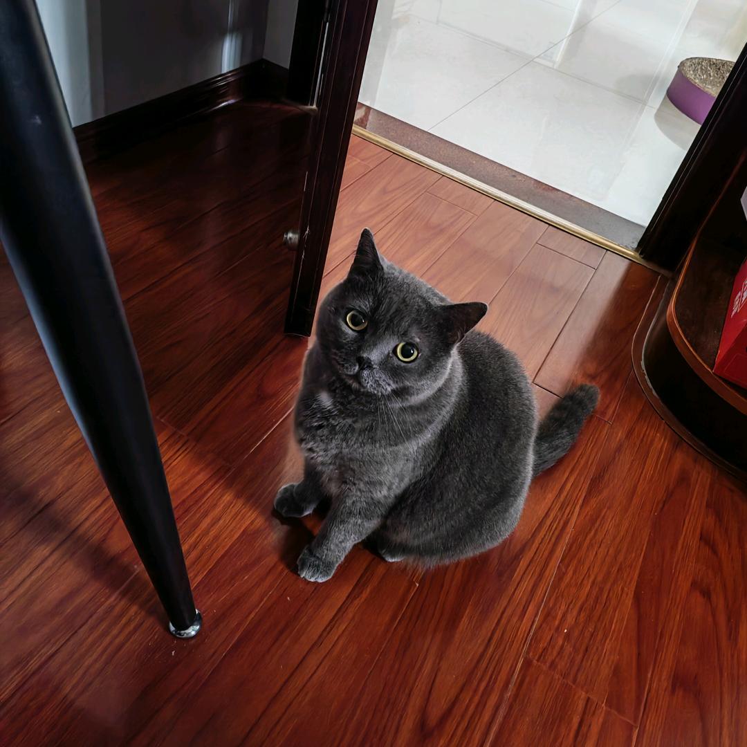 酒精过敏的帅哥