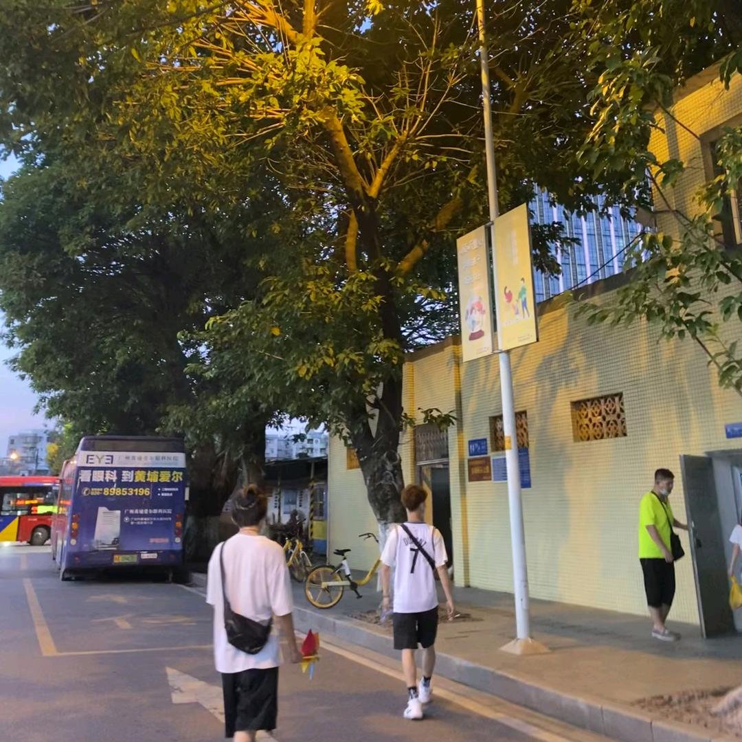 你听过王维的相思吗