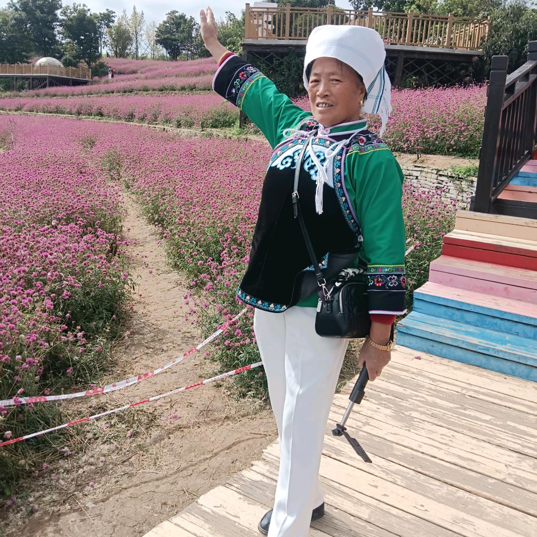 自由自在.