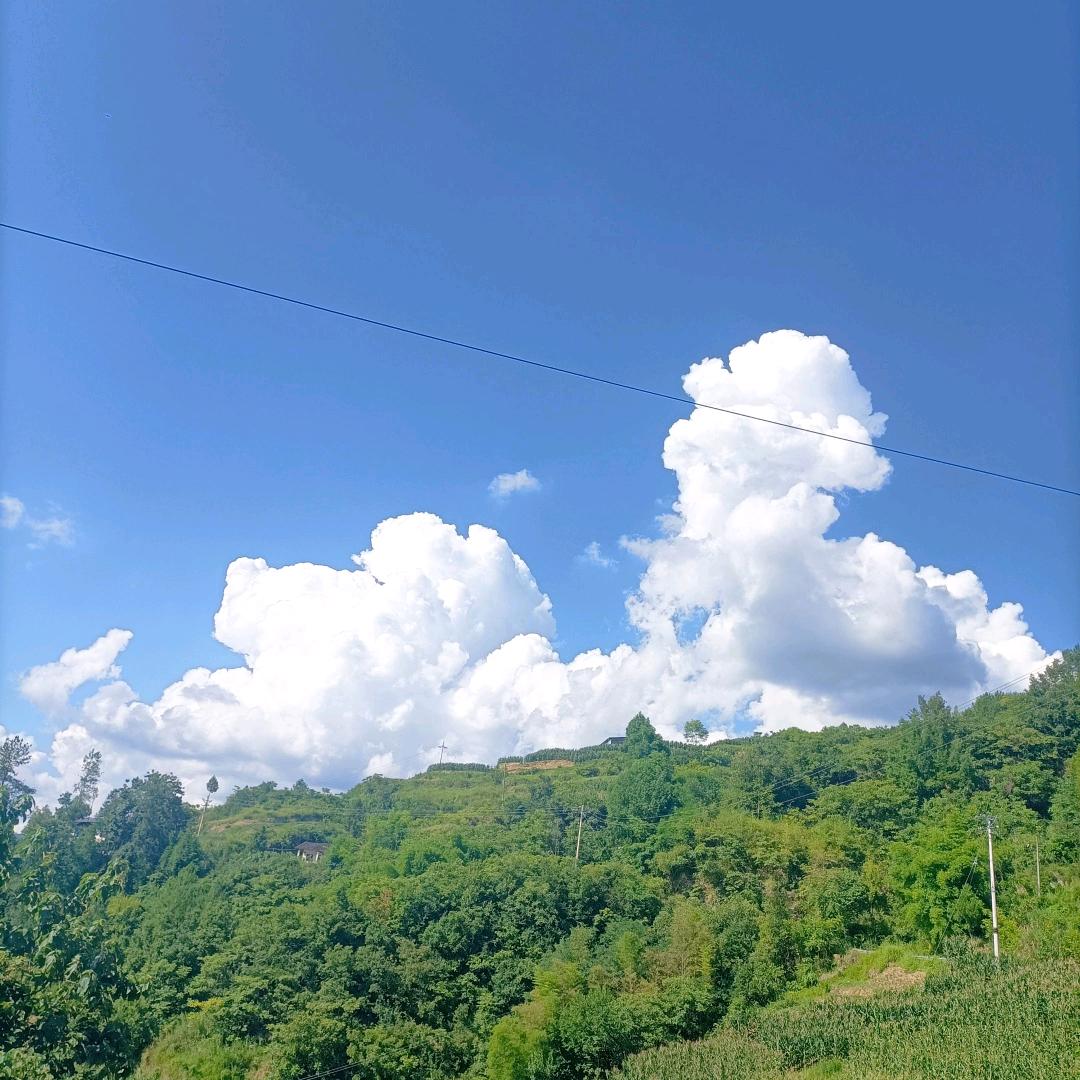 州州