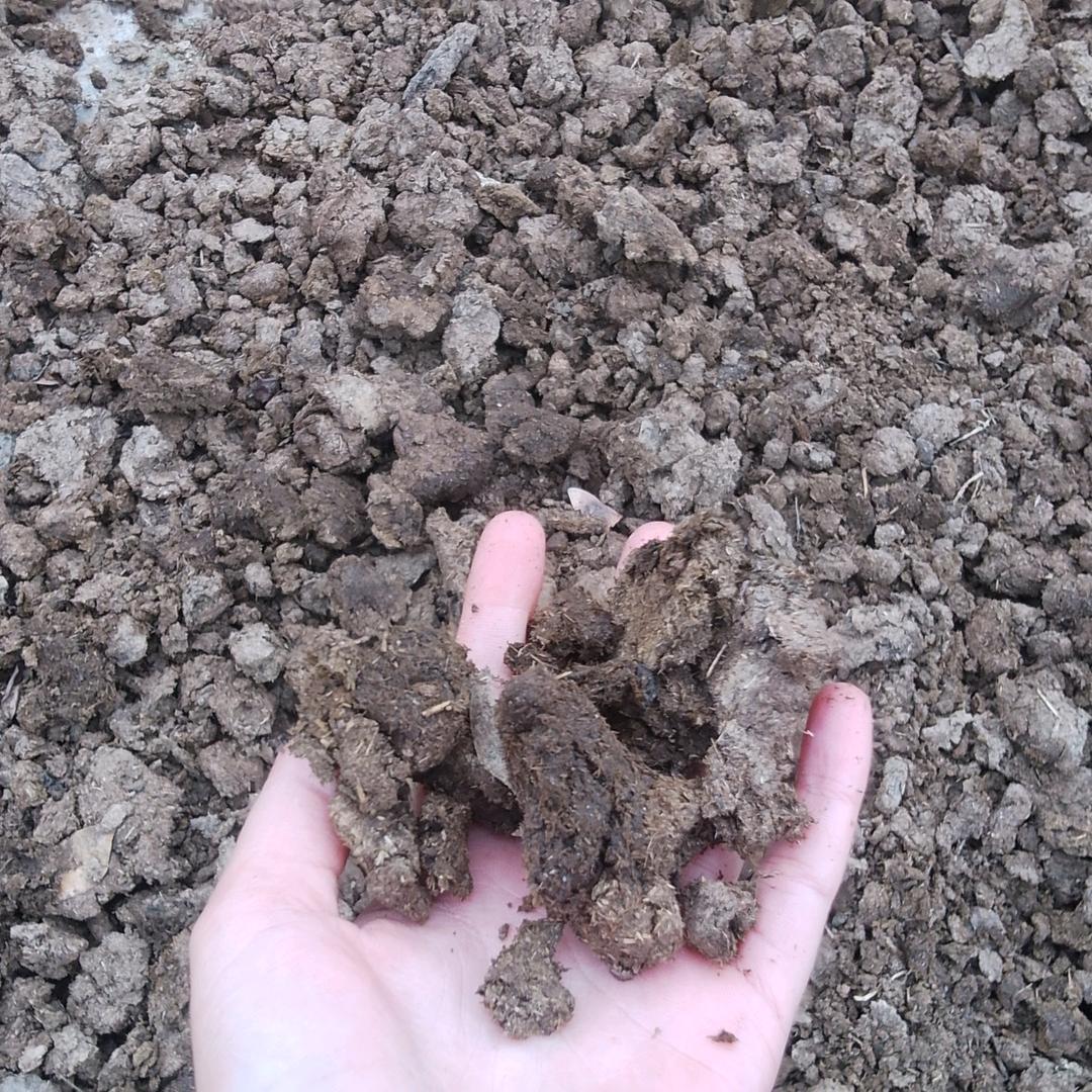 鹿屿贸易-牛魔王