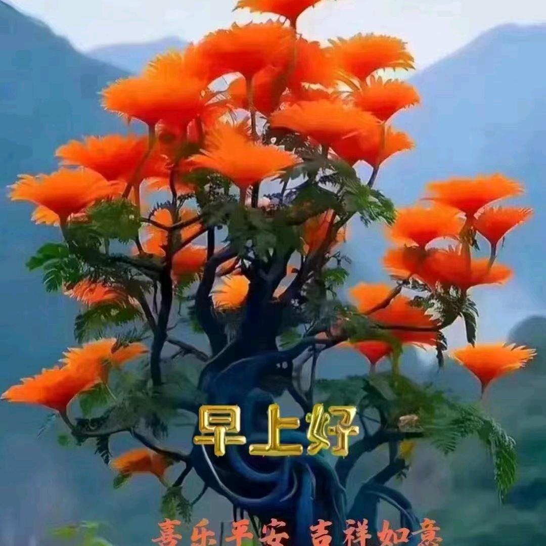 辉哥