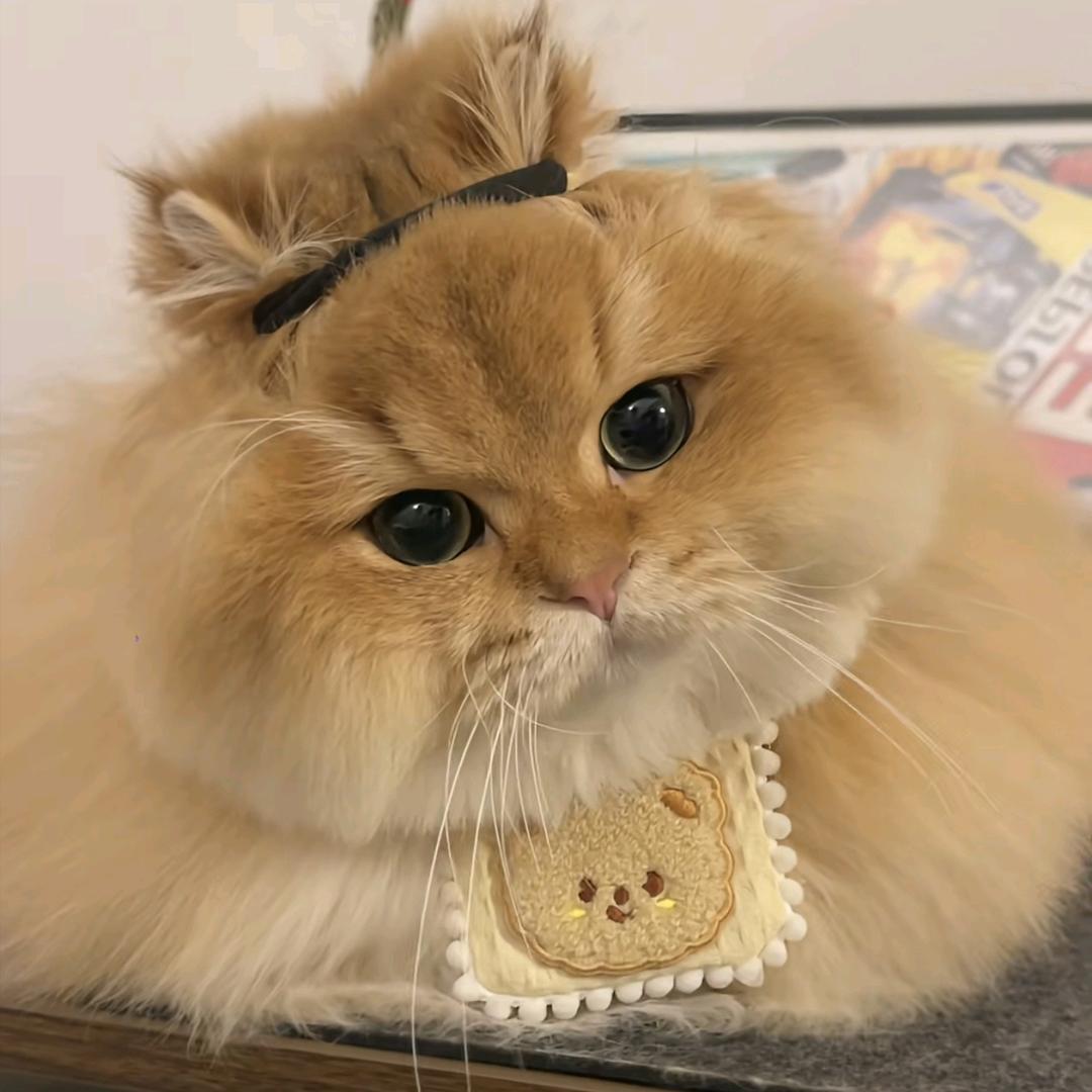 南伊Yiyiʸⁱ
