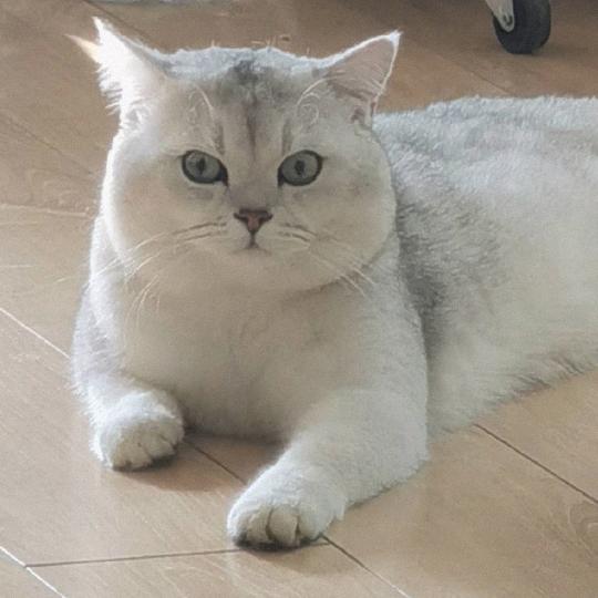 北京和丰利来科技有限公司小江