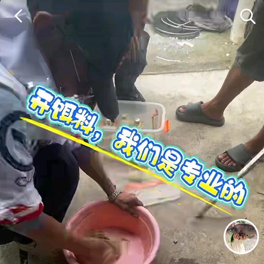 爱钓鱼的无牙刘