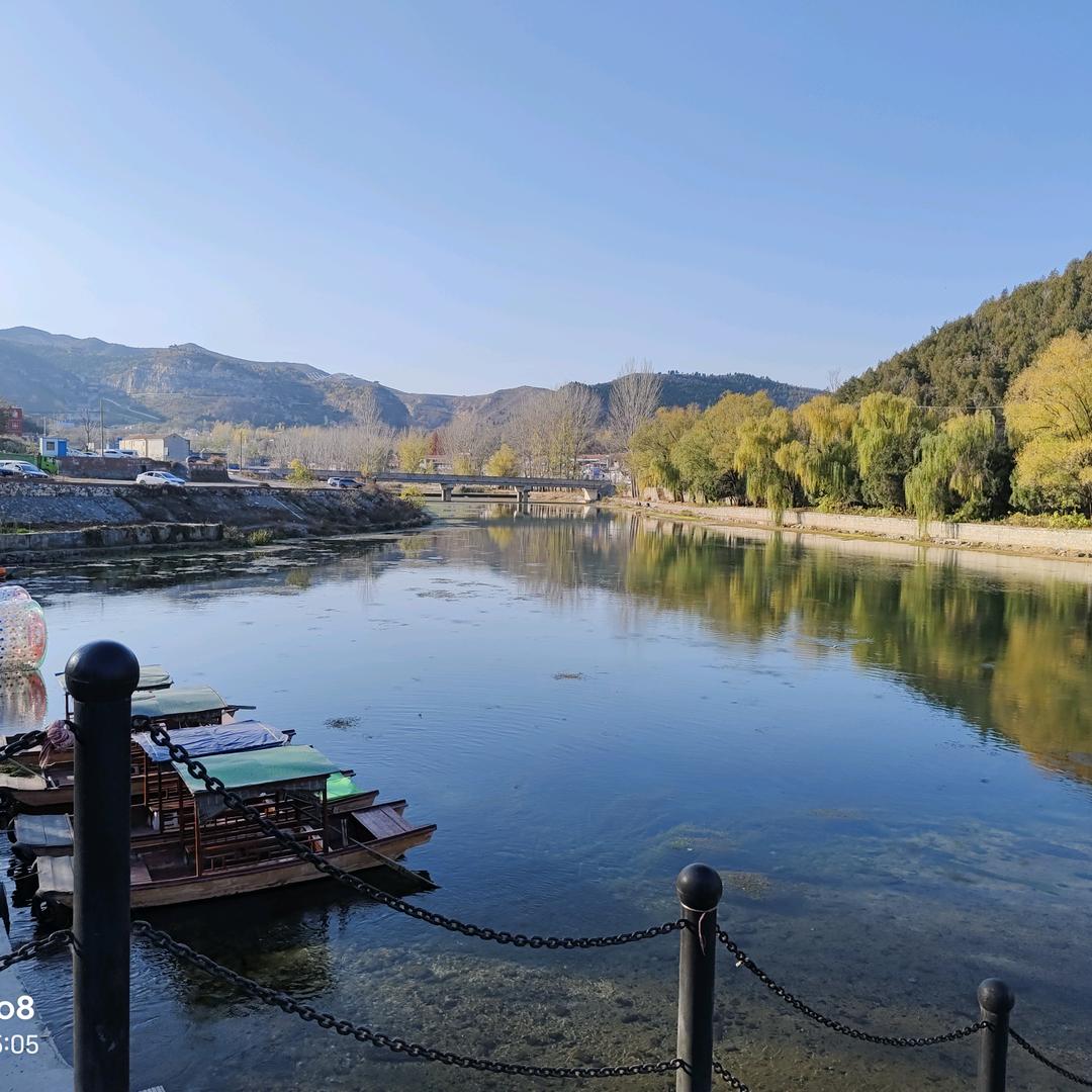 ꧁᭄樱花树下站谁都美᭄🕊