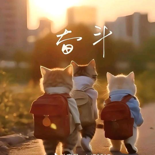 干饭姐