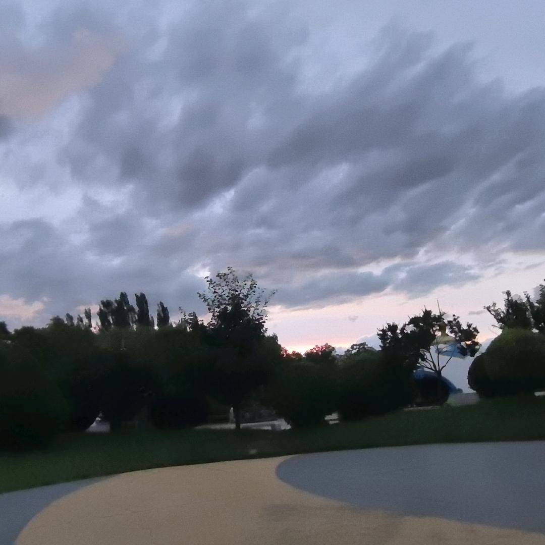 基因侦探Dr.Zhang