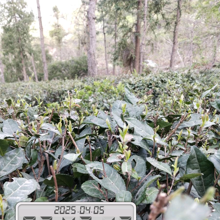 激情与成功有约