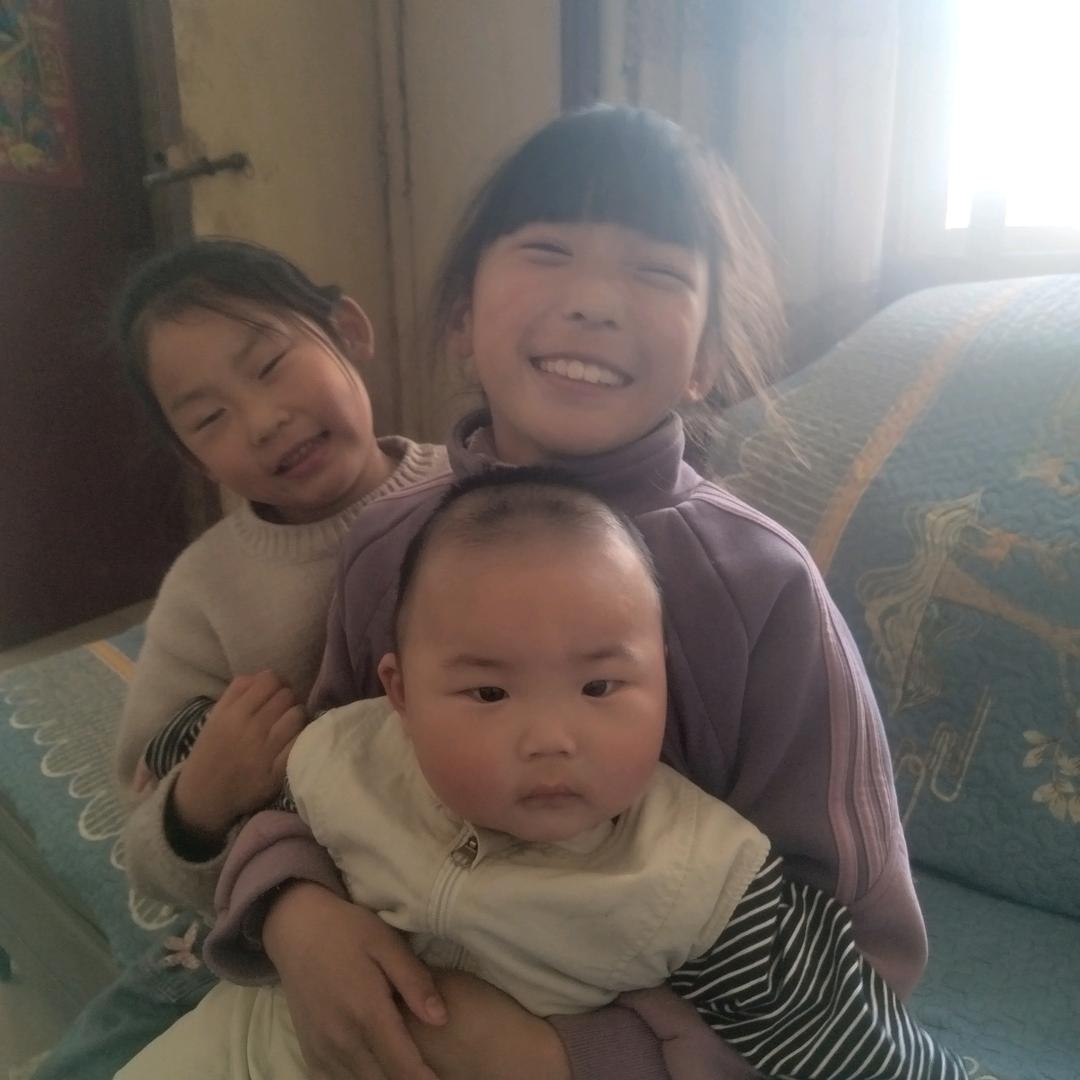 一片绿叶