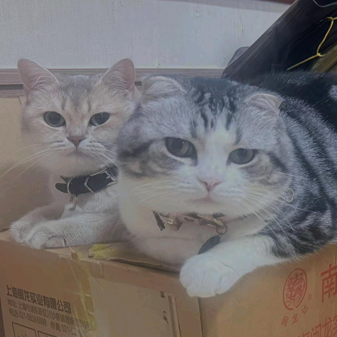 老周优选特惠推荐