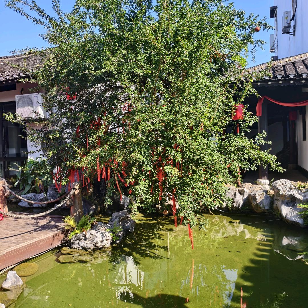 封心💖锁爱