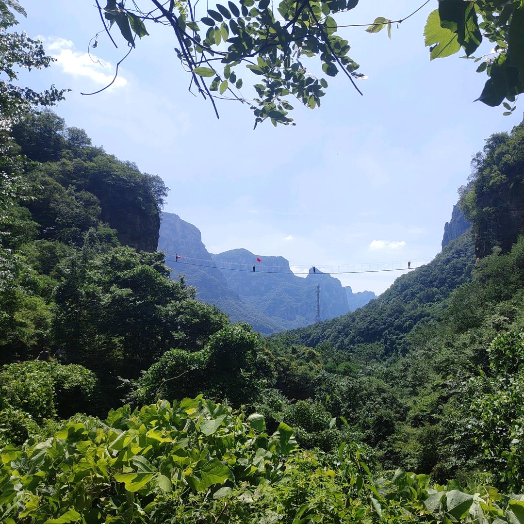青山·