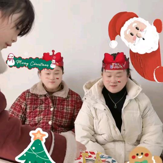 双胞胎姐妹，琴，琴