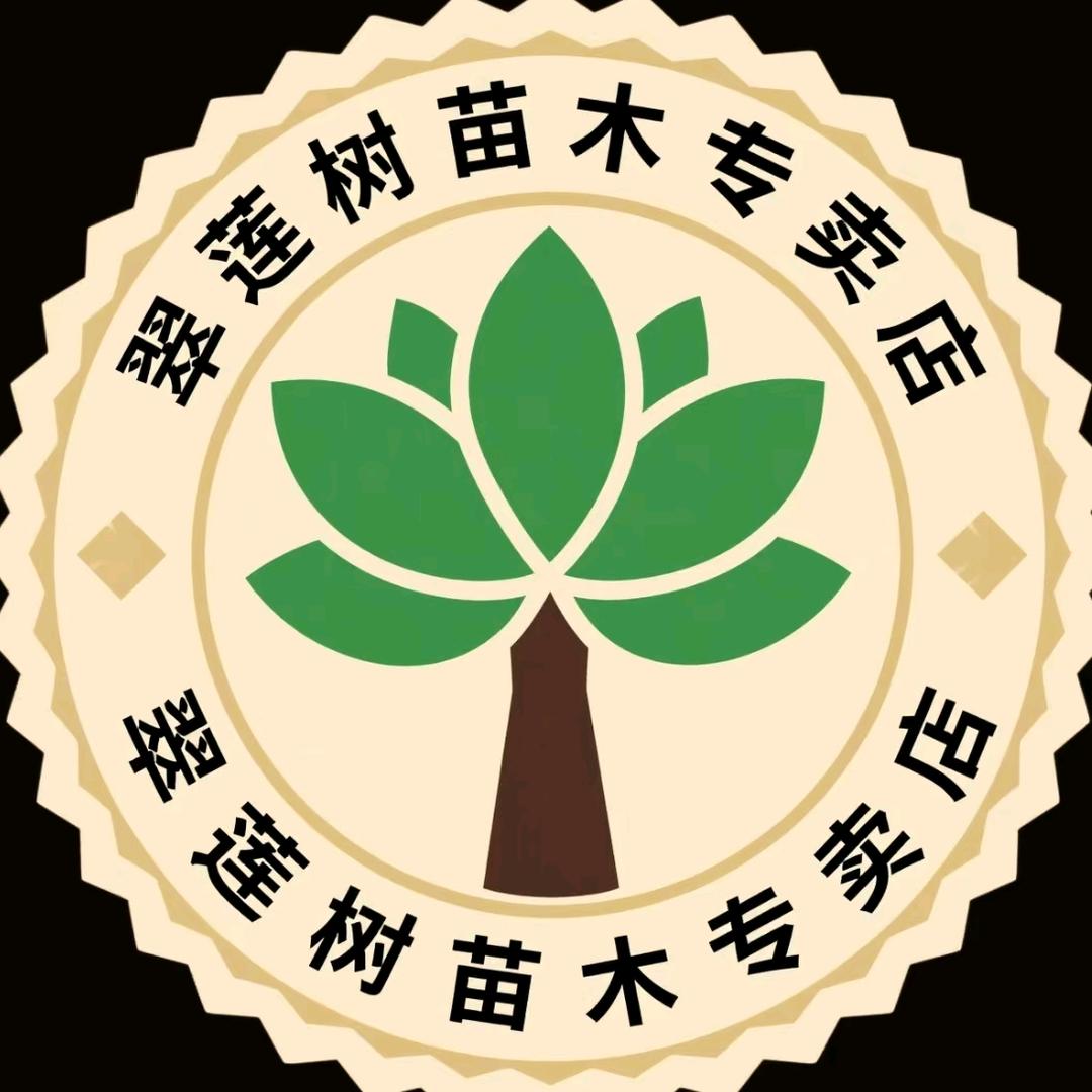 蜜企味翠莲果树苗木专卖店