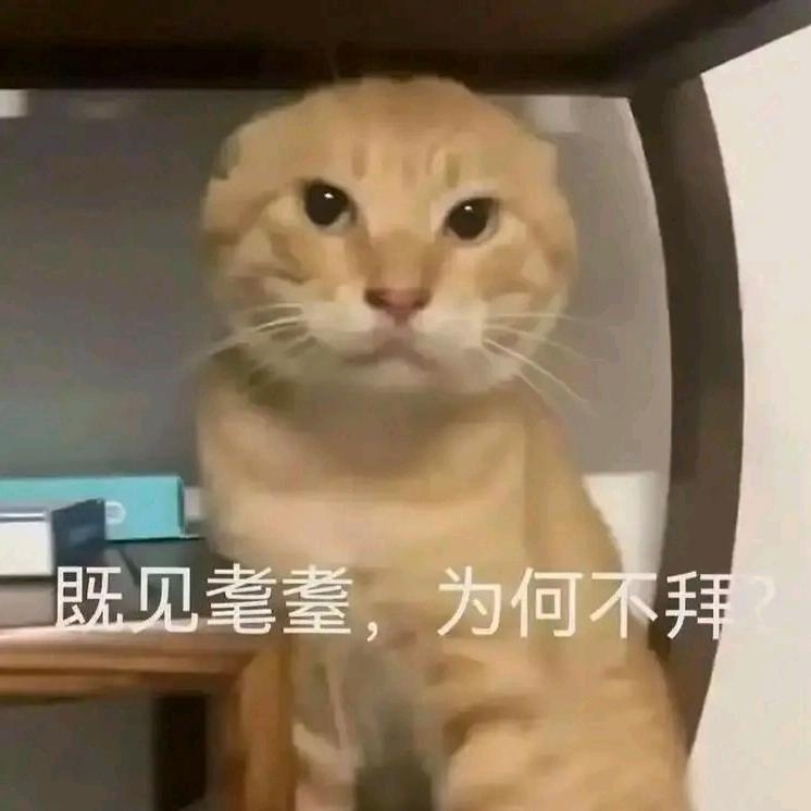 ㅤ学