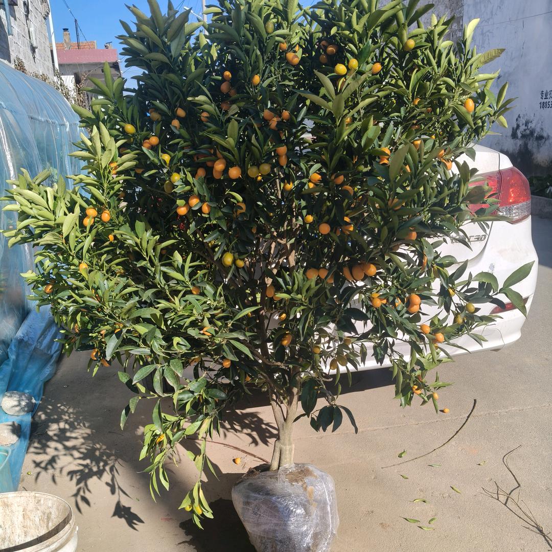 旷鸿沐泽专卖店