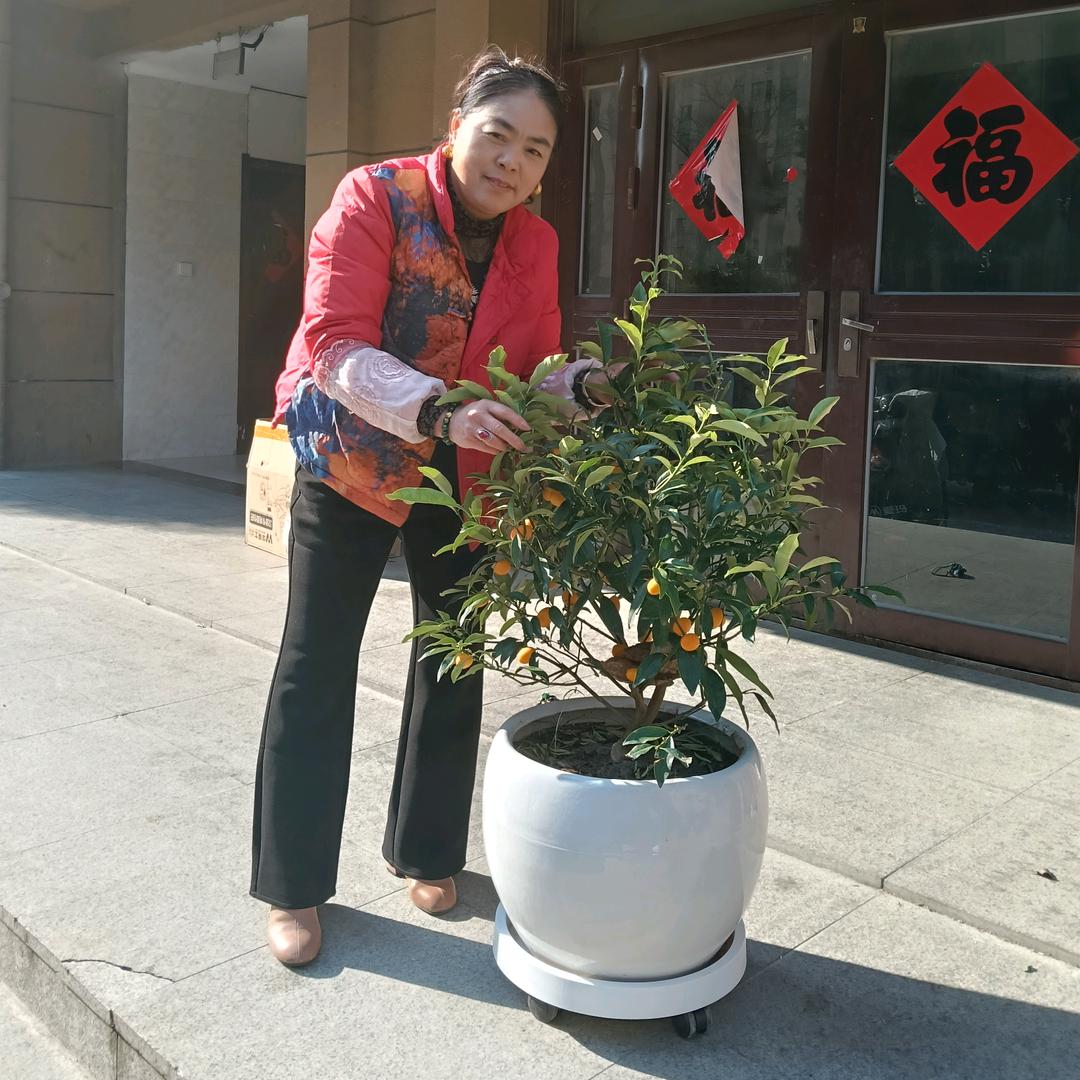 陌上花开🌸