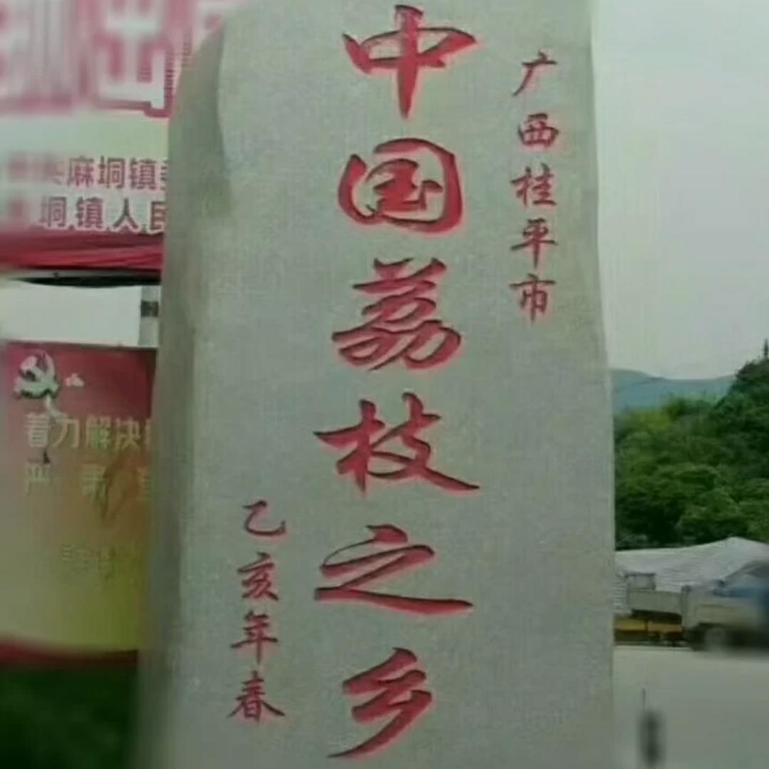 麻垌荔枝黄某