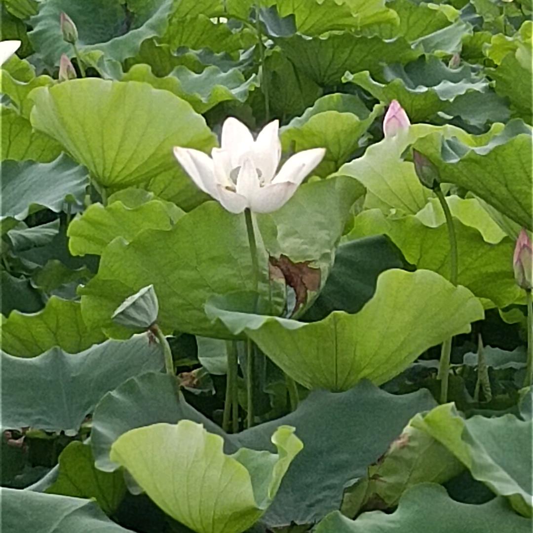 有你真好