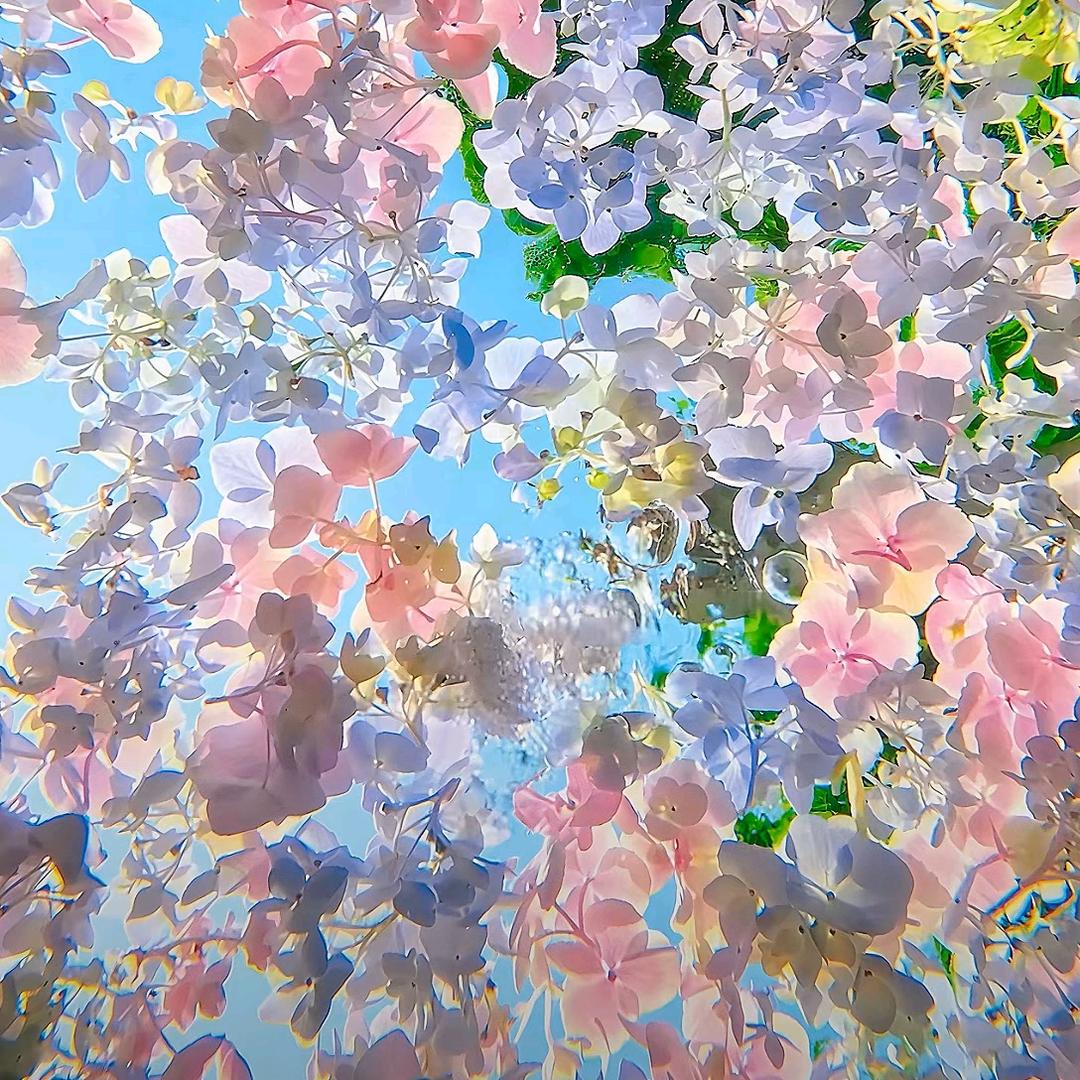 展望