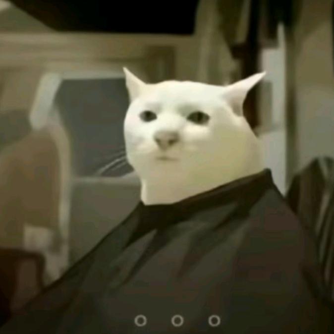 现在就开团-欧阳娜妮好物集