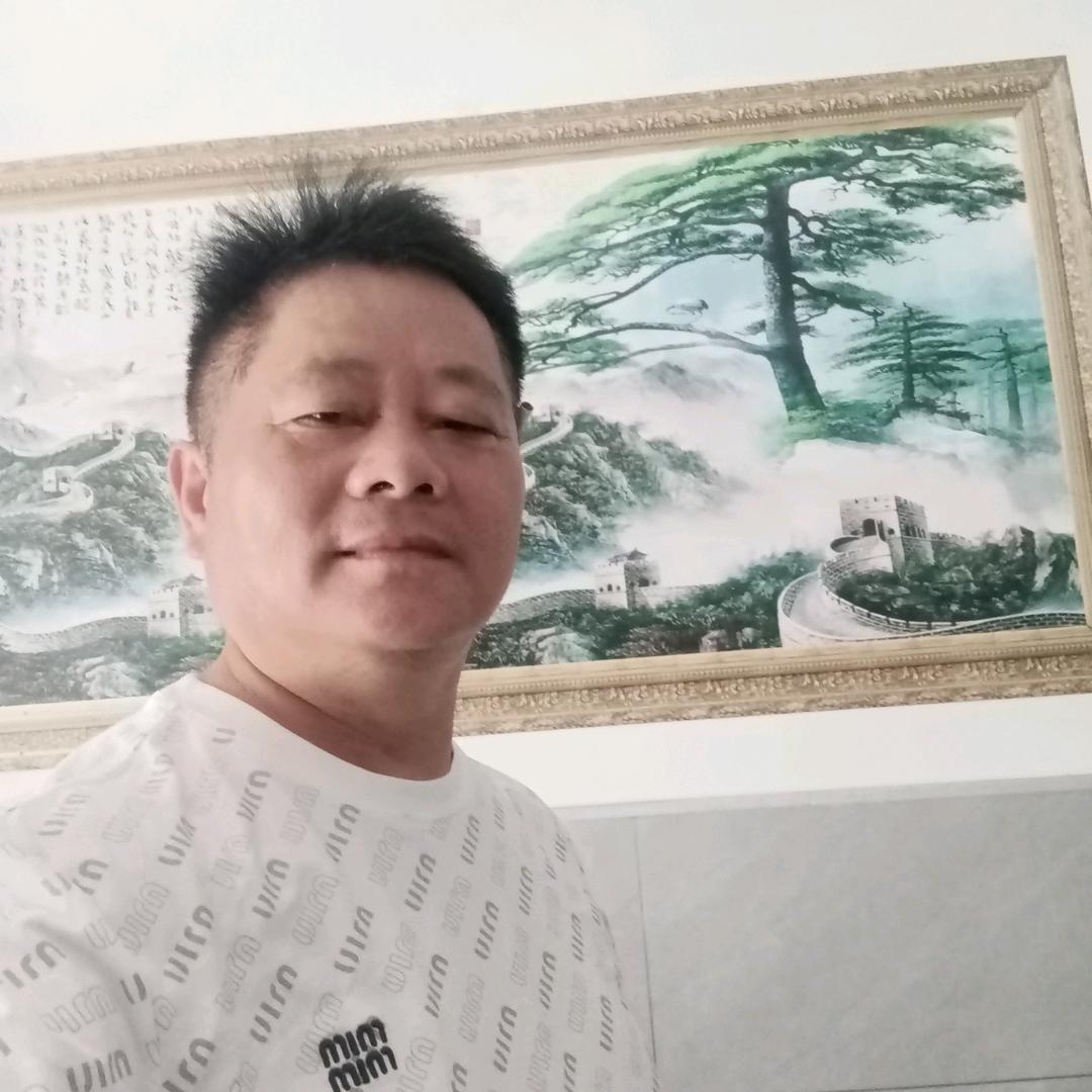 大展鸿图