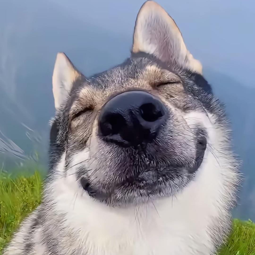 做美梦被斜方肌夹醒