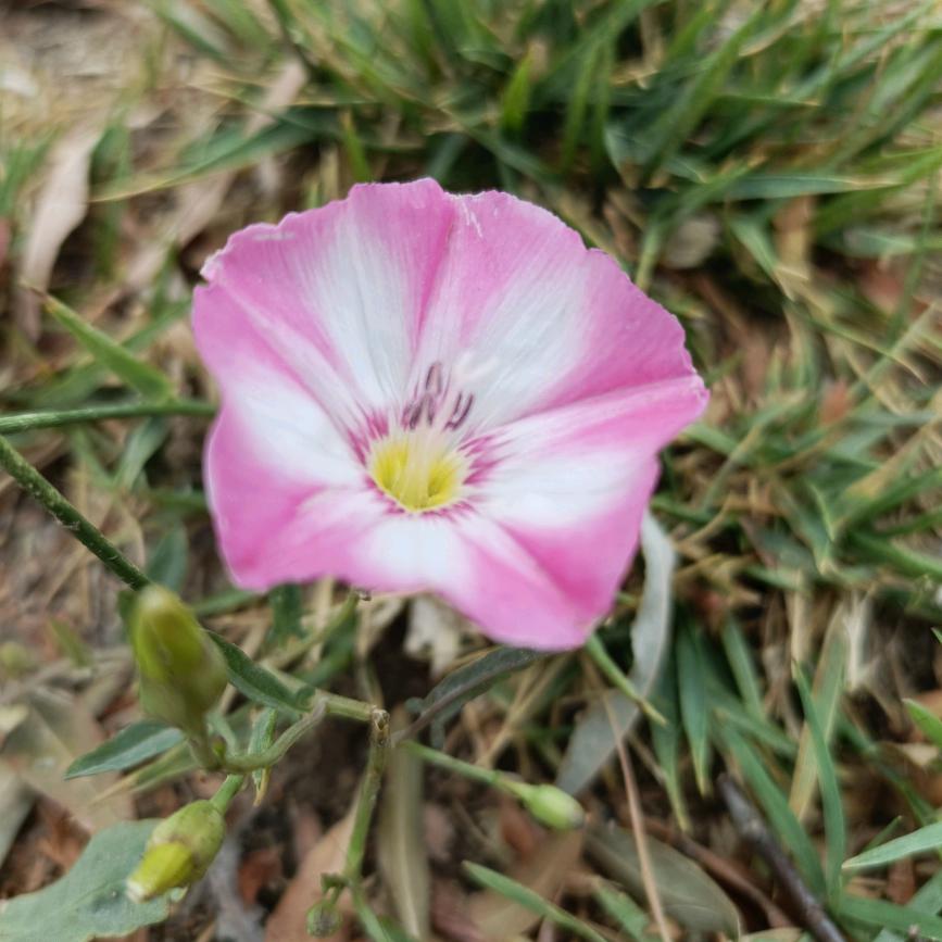 退壳（橱窗有好物）