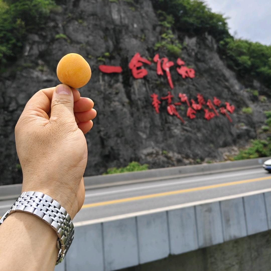 左歌@数字化转型《数据经营者》