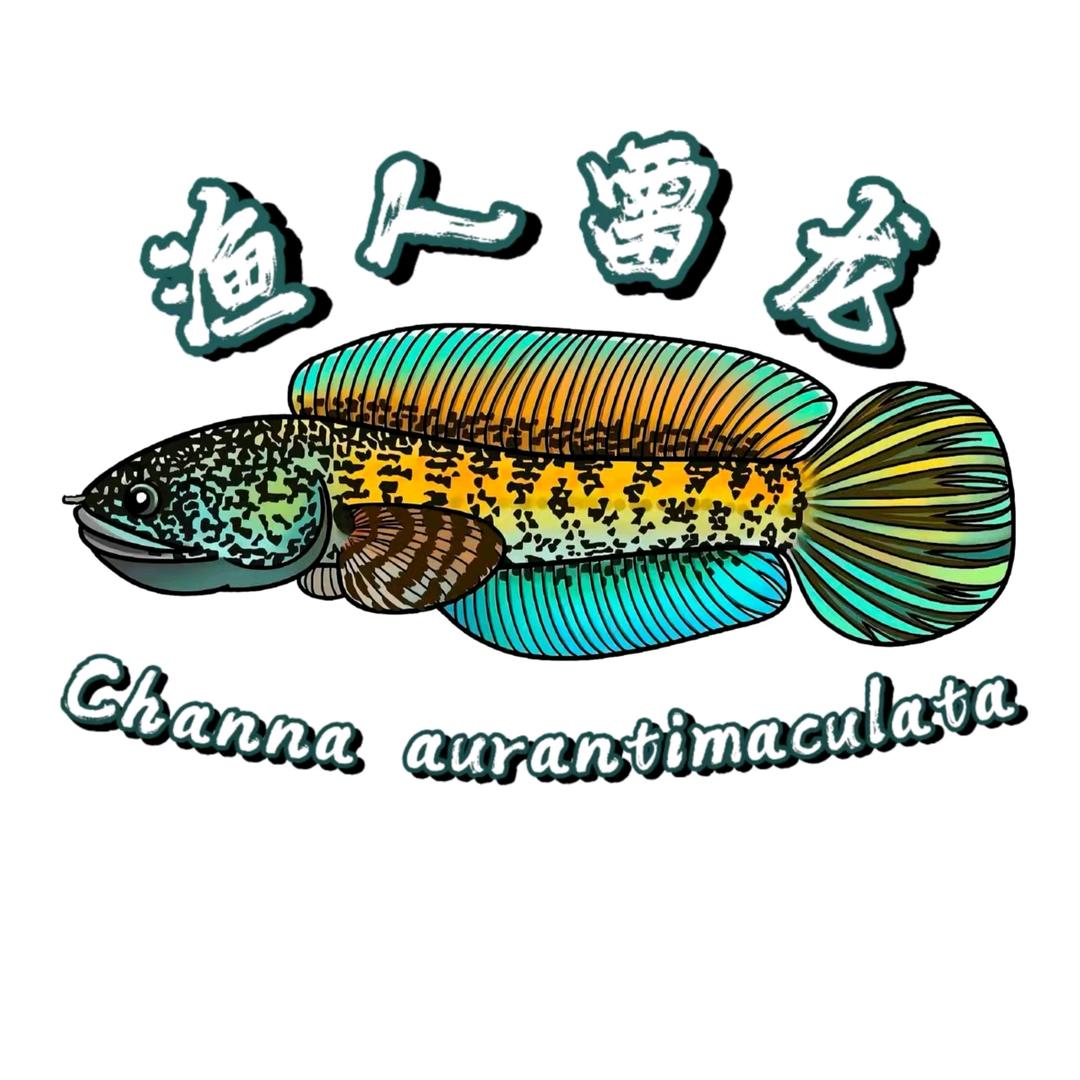 渔人水族