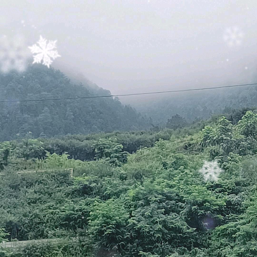 888888888888888888龙