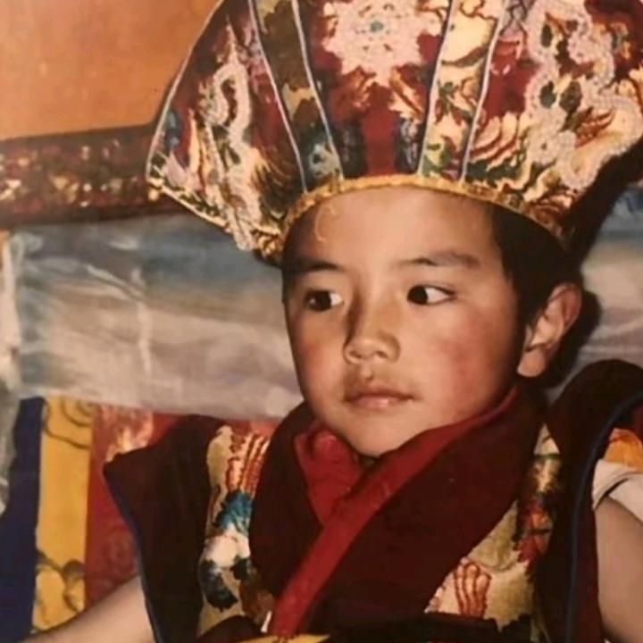 普旦増🙏🙏🙏