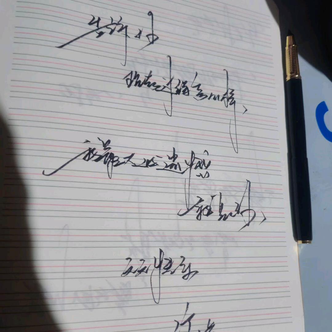 金蝉脱壳☞张洪(厂长)