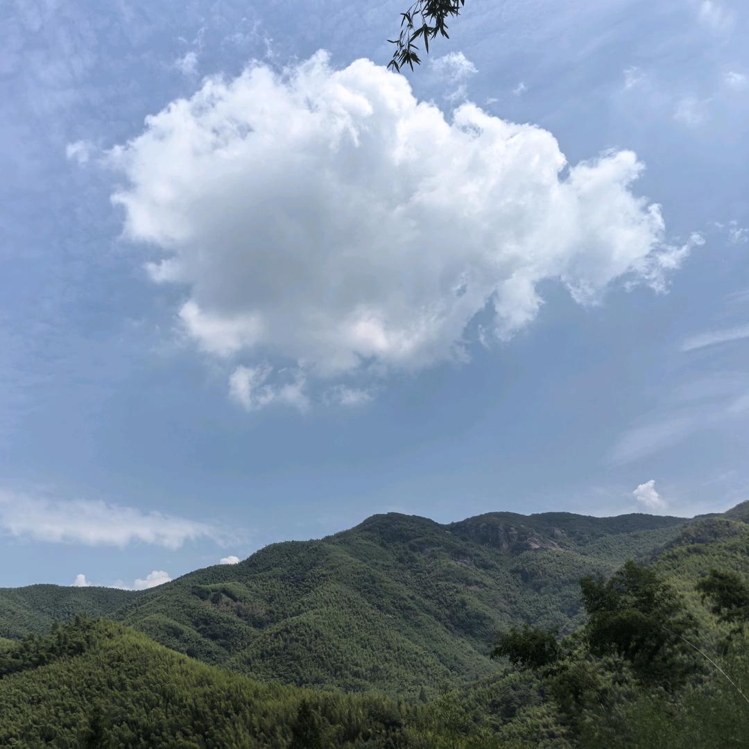 西赆南琛nc