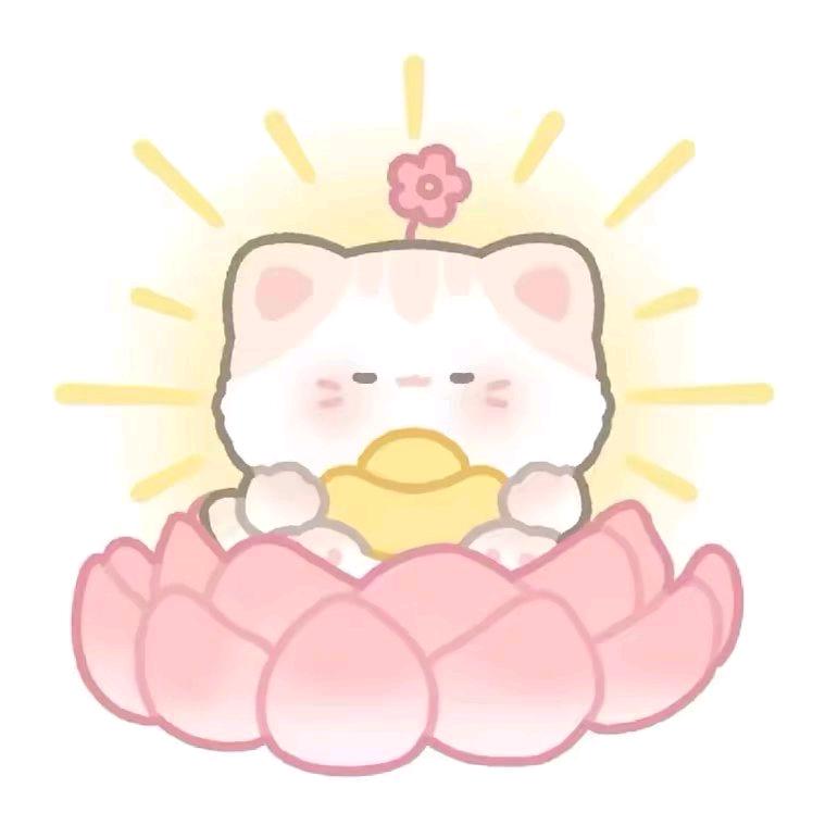 Y.阚头像