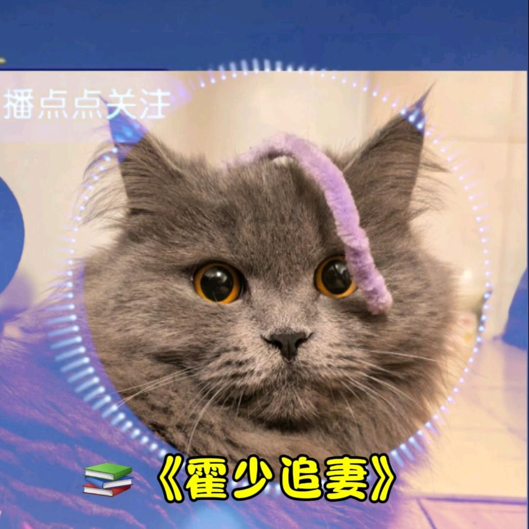 二蘭堡儿❀