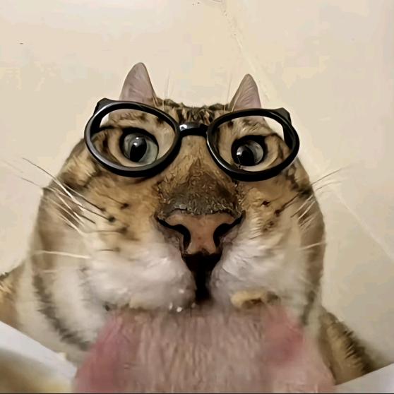 早睡就不会掉头发