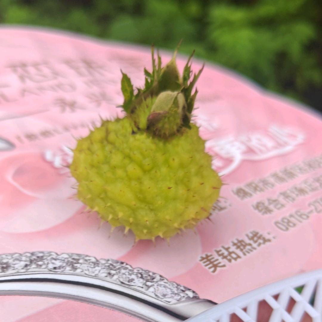 ໑ຼₒ₂₅༣余生都是你এ࿚