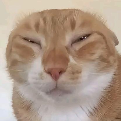 喜之郎%