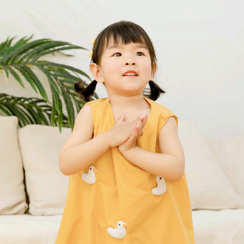 啵啵渔的梦想花园