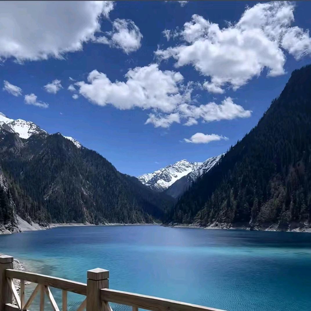 扶摇直上九万里