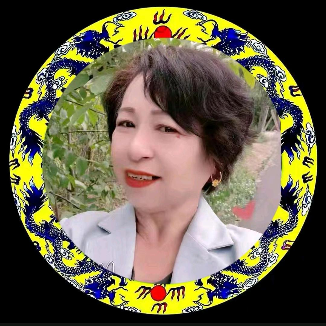 龍行⭐️梦想13