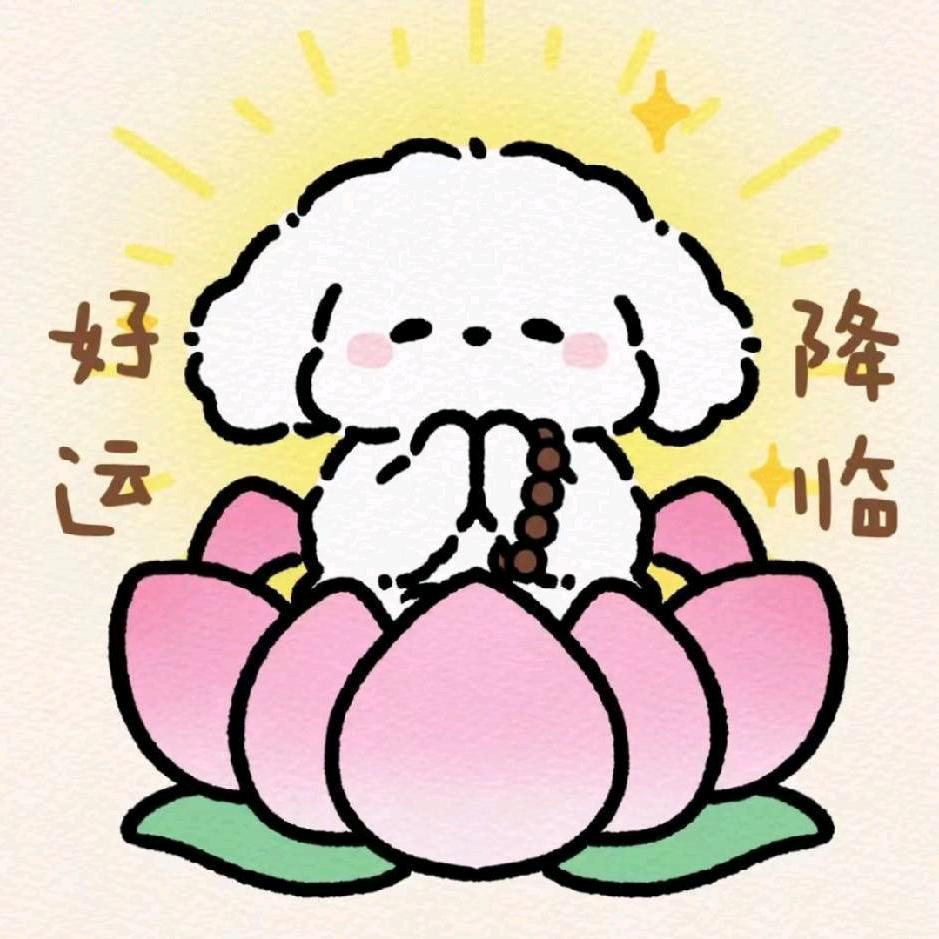 🍅炖牛腩