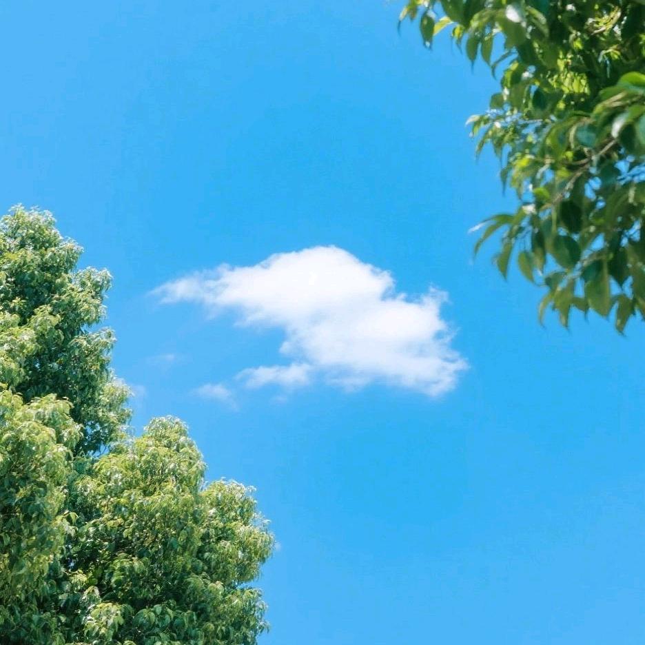 蓝色天空