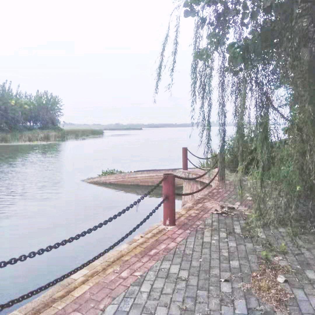 上善若水1