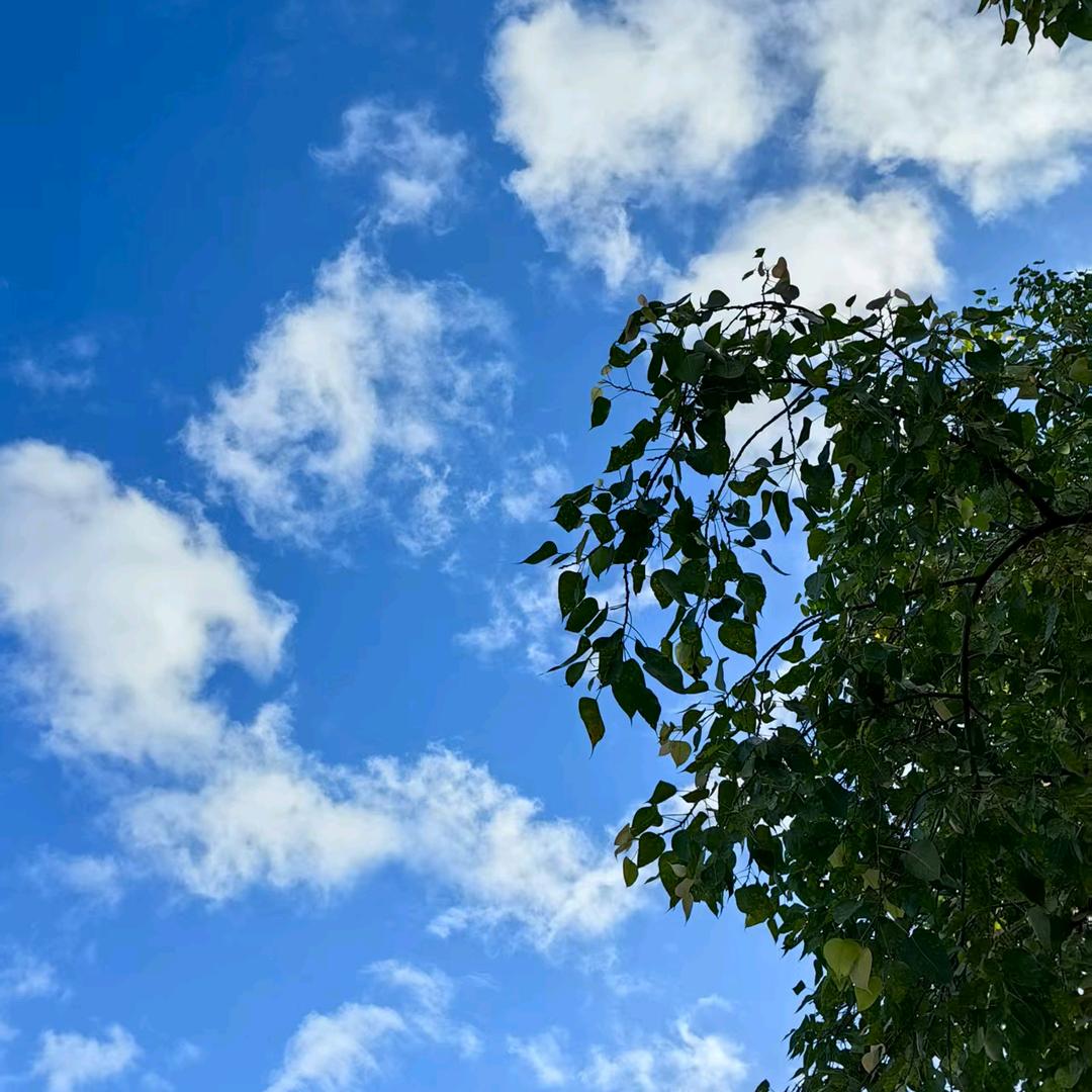 🎊LIAO❣️恭喜发财💝❣️💗🐯